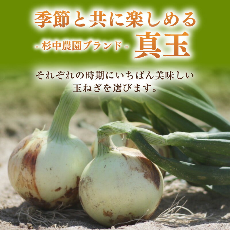 【ふるさと納税】口に広がる優しい甘さの玉ねぎ 《 真玉 》【選べる内容量：5kg・10kg】期間限定！ タマネギ 野菜 季節によって新玉か晩玉かお届けが異なります。しんぎょく たまねぎ 新鮮野菜 《受付期間：2026年6月15日まで》S097-SKU - 画像2
