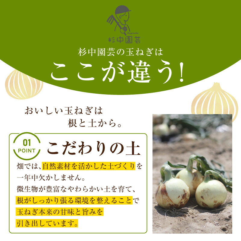 【ふるさと納税】口に広がる優しい甘さの玉ねぎ 《 真玉 》【選べる内容量：5kg・10kg】期間限定！ タマネギ 野菜 季節によって新玉か晩玉かお届けが異なります。しんぎょく たまねぎ 新鮮野菜 《受付期間：2026年6月15日まで》S097-SKU - 画像3