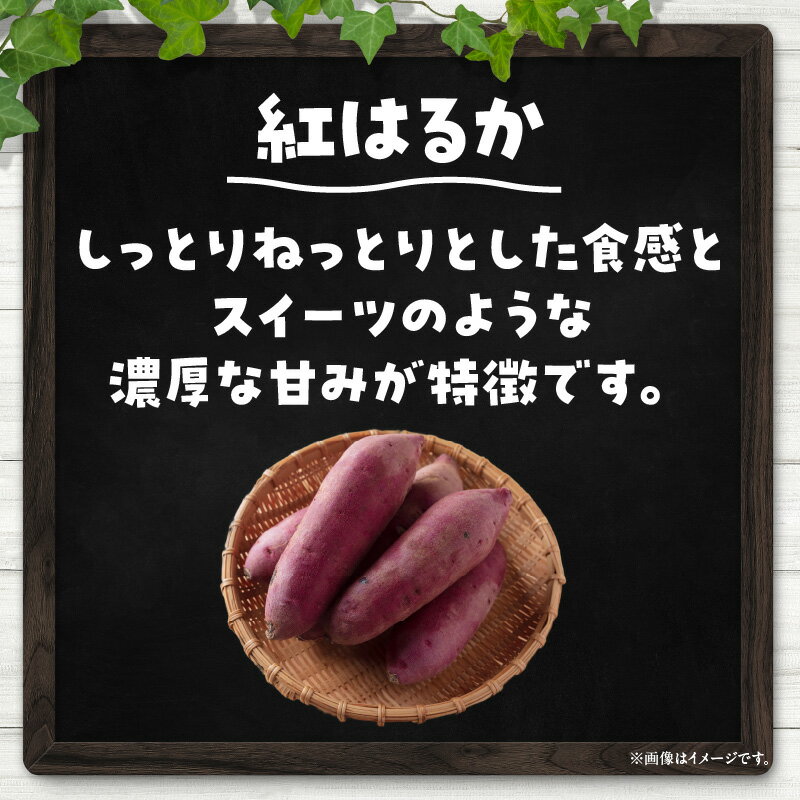 【ふるさと納税】本格焼酎「SANDEEL」1本（720ml）・S071 焼酎 お酒 酒 アルコール さつまいも 紅はるか 芋焼酎 麹 常温 宅飲み 家庭用 ギフト プレゼント お祝い お返し 贈り物 贈答 贈答用 誕生日 父の日 母の日 敬老の日 愛知県 西尾市 送料無料 MB サムネイル3