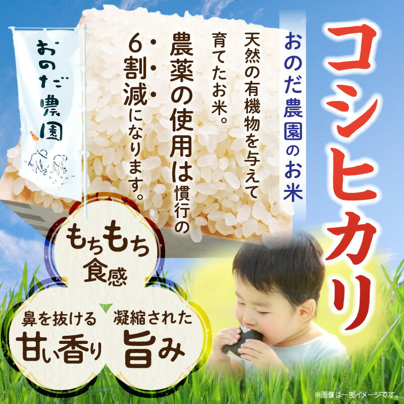 【ふるさと納税】【令和7年産】おのださんちのハッピー米【コシヒカリ】白米【5kg×2】O017-26 国産米 国内産 日本産 愛知県産 白米 令和7年 新米 送料無料 - 画像2