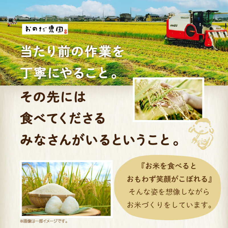 【ふるさと納税】【令和7年産】おのださんちのハッピー米【コシヒカリ】白米【5kg×2】O017-26 国産米 国内産 日本産 愛知県産 白米 令和7年 新米 送料無料 - 画像3