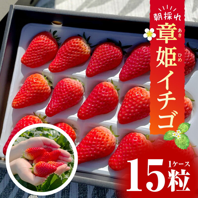 【2026年発送先行予約】章姫(あきひめ) イチゴ15粒×1ケース 【生産地】愛知県西尾市産・D033 果物 フルーツ 旬のフルーツ 季節のフルーツ 甘い デザート おすすめ 国産 苺 章姫 ギフト プレゼント お祝い 内祝い お返し 贈り物 食品 愛知県 西尾市 送料無料