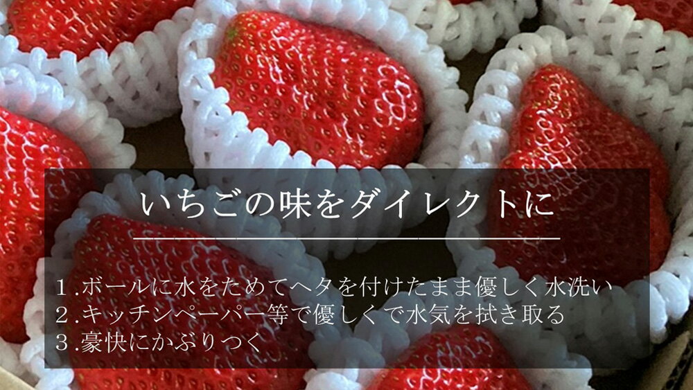 【ふるさと納税】超特大 紅ほっぺ 6〜7粒入り 合計440g以上 O037-18【発送期間：2025年12月1日〜2026年3月20日】冷蔵便 果物 フルーツ 愛知県産 西尾産 国産 イチゴ いちご 苺 ギフト 食品 MB サムネイル2