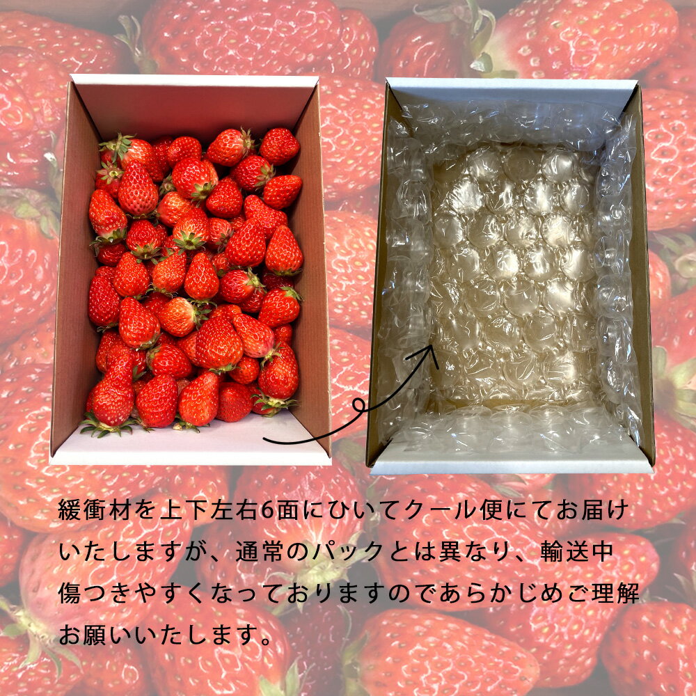 【ふるさと納税】訳ありバラ詰め いちご (紅ほっぺ) 900g以上×2箱 O048-17【発送期間：2026年3月1日～2026年5月15日の間で順次発送予定】【冷蔵便】/ 果物 フルーツ 愛知県産 西尾市産 国産 イチゴ いちご 苺 大容量 食品 訳アリ お徳用 1.8キロ 1.8kg MB サムネイル3
