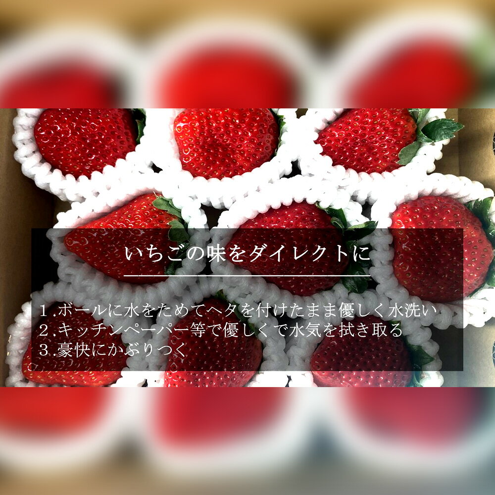 【ふるさと納税】特大いちご (紅ほっぺ) 400g以上 (7〜10粒) ×3箱 O042-30【発送期間：2025年12月1日～2026年3月31日までに発送予定】【冷蔵便】/ 果物 フルーツ 愛知県産 西尾産 国産 イチゴ いちご 苺 食品 紅ほっぺいちご 大きい 大粒 3箱 MB サムネイル2
