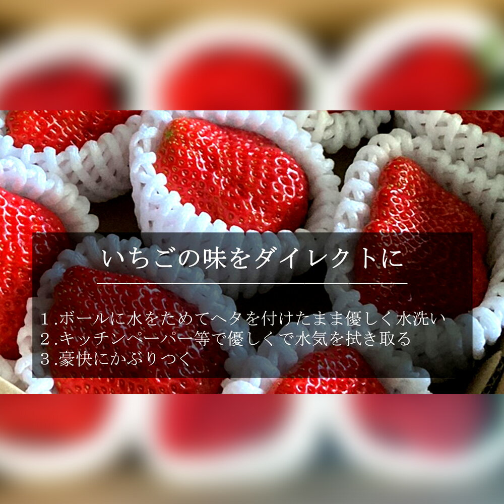 【ふるさと納税】超特大いちご (紅ほっぺ) 440g以上 (6〜7粒) ×2箱 O043-32【発送期間：2025年12月1日～2026年3月31日までに発送予定】【冷蔵便】/ 果物 フルーツ 愛知県産 西尾産 国産 イチゴ いちご 苺 食品 紅ほっぺいちご 大きい 大粒 大玉 超特大 2箱 MB サムネイル2