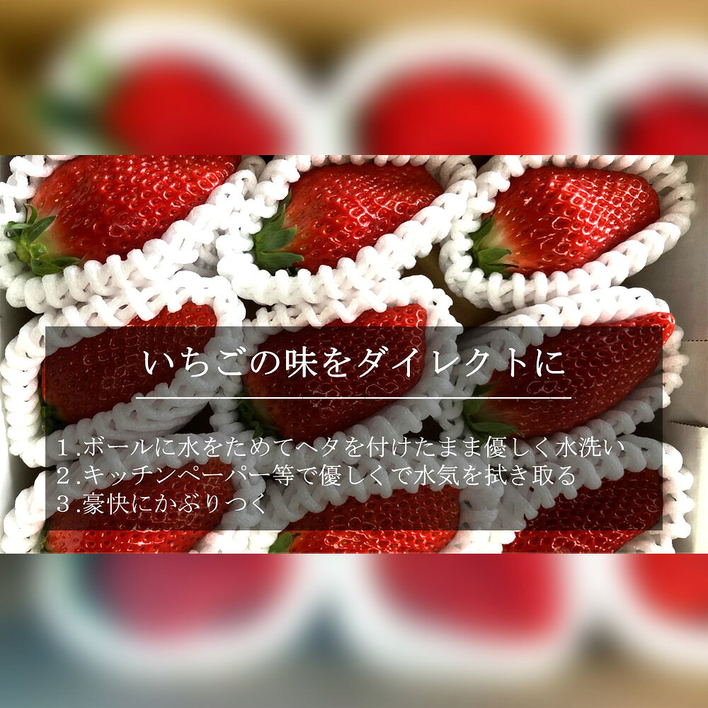 【ふるさと納税】特大いちご (章姫) 360g以上 (7〜9粒) ×3箱 O045-29【発送期間：2025年12月1日～2026年3月31日までに発送予定】【冷蔵便】/ 果物 フルーツ 愛知県産 西尾産 国産 イチゴ いちご 苺 食品 章姫いちご 大きい 大粒 特大 3箱 あきひめ MB サムネイル2
