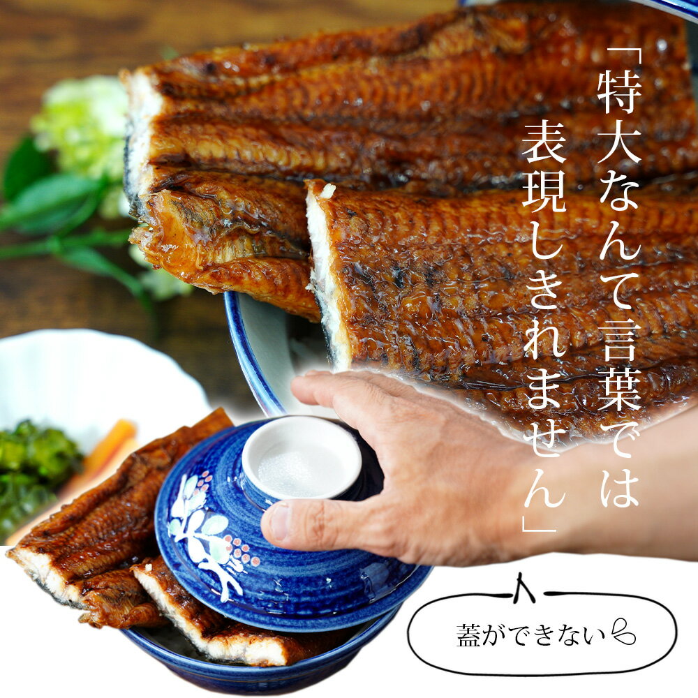 【ふるさと納税】うなぎ 西尾 三河産 「超おばけサイズ 蒲焼き2尾」（合計500g以上）A116-21【冷凍便】＜br＞大きい うなぎ 国産 西尾 三河産 愛知県産 鰻 ウナギ タレ付き たれセット 特大以上 海鮮 食品 三河地方 MB サムネイル3