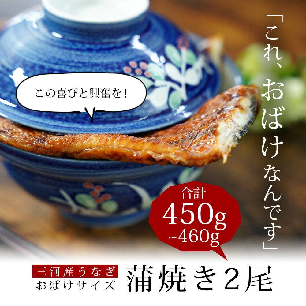 【ふるさと納税】うなぎ 西尾 おばけサイズ 蒲焼 2尾（合計450g〜460g）A126-20【冷凍便】＜br＞うなぎ 国産 三河産 愛知県 西尾市 鰻 蒲焼 蒲焼き ウナギ タレ付き たれセット さんしょう 特大以上 食品 おかず 高級食材 MB サムネイル2