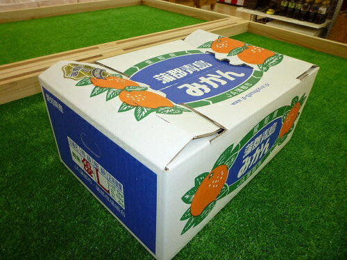 G0330【期間限定】蒲郡みかん「青島みかん」約5kg 露地みかん ミカン 温室みかん 早生みかん 宮川早生 箱入娘 おてんば娘 青島 せとか はるみ 樹熟デコポン 化粧箱 中晩柑 愛知県産 ガマゴオリ フルーツ 果物 デザート 美味しい ジューシー お歳暮 お中元