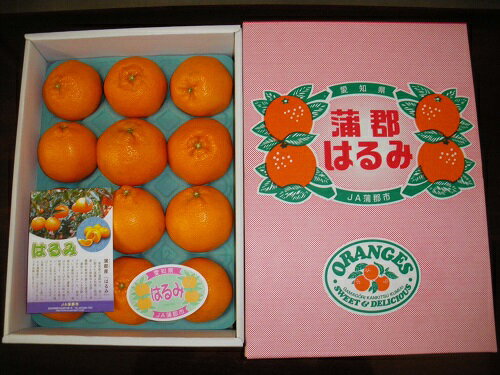 G0331【期間限定】蒲郡みかん「ハウスはるみ」約3kg ミカン 温室みかん 早生みかん 宮川早生 箱入娘 おてんば娘 青島 せとか はるみ 樹熟デコポン 化粧箱 中晩柑 愛知県産 ガマゴオリ フルーツ 果物 デザート 美味しい ジューシー お歳暮 お中元