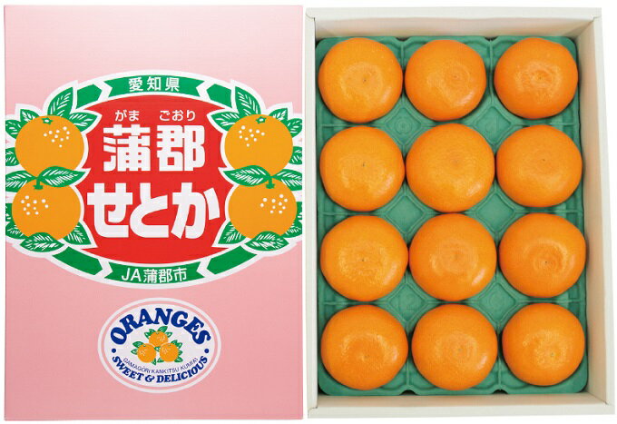 G0003【期間限定】蒲郡 みかん「せとか」約3kg 温室みかん ハウス栽培 早生みかん 宮川早生 箱入娘　おてんば娘 青島 せとか はるみ デコポン 樹熟デコポン 化粧箱 中晩柑 愛知県産 ガマゴオリ フルーツ 果物 デザート 美味しい ジューシー お歳暮 お中元
