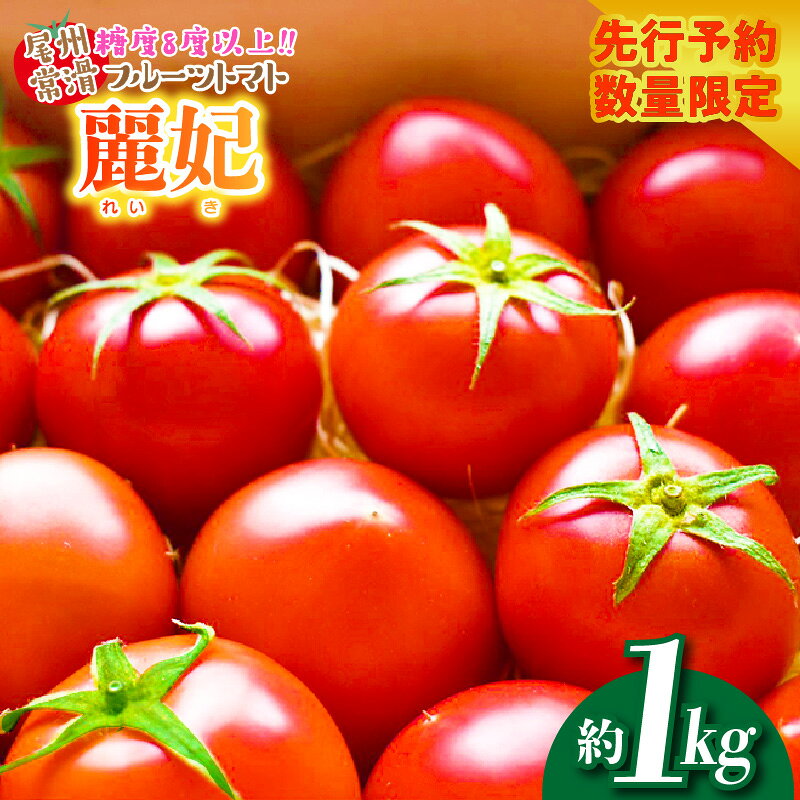＼先行予約／【 数量限定 】尾州常滑フルーツトマト 約1kg 糖度8度以上【2026年3月下旬～4月下旬 順次発送予定】 予約 トマト 甘い 常滑市 国産 愛知県 野菜 ※2026年3月まで受付 送料無料