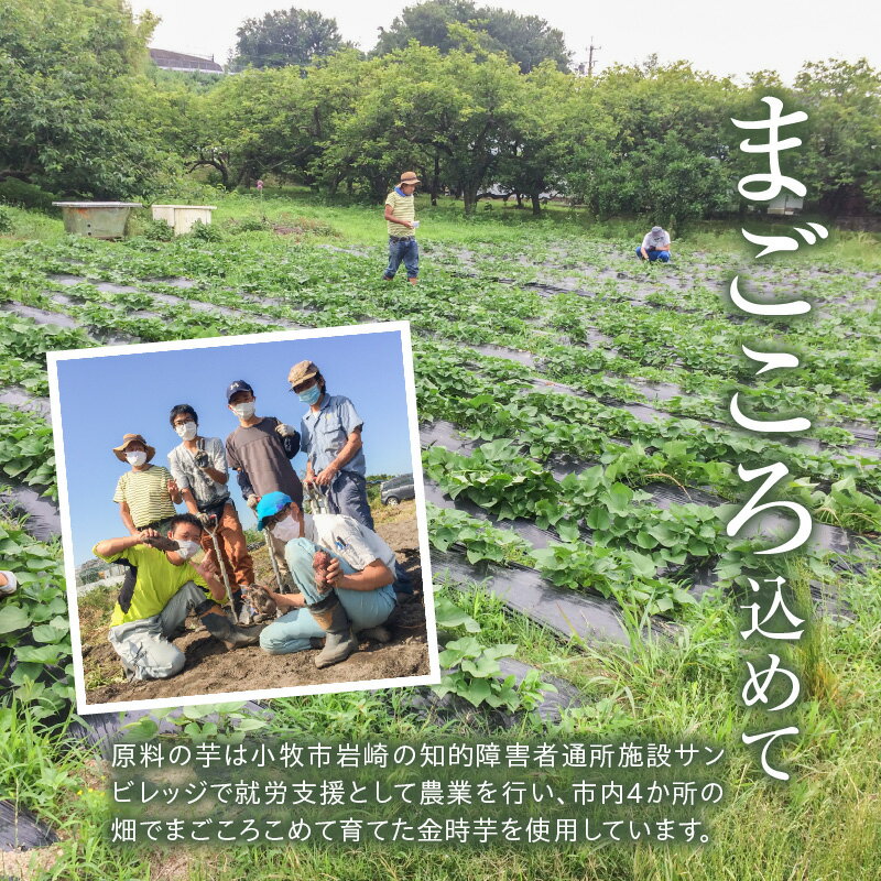 【ふるさと納税】本格芋焼酎『Sun』芋グラッセ アウトドア ソロキャンプ ベランピング 巣ごもり 就労支援 サムネイル3