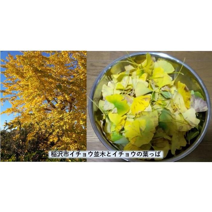 【ふるさと納税】稲沢市特産のイチョウの葉っぱから染めた尾州ウールのファッションマフラー サムネイル2