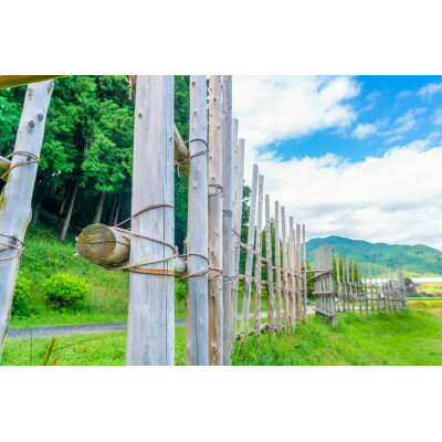 【ふるさと納税】決戦の刻　ギフトセット(6個)【配送不可地域：離島】【1498246】 - 画像3