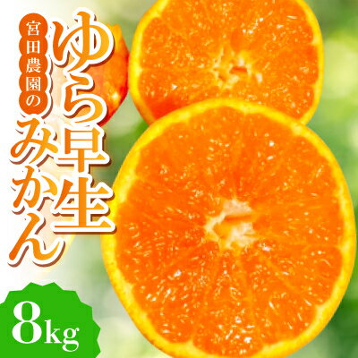 【ゆら早生】宮田農園の温州みかん　8kg【1353530】