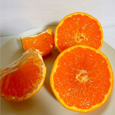 【ふるさと納税】【ゆら早生】宮田農園の温州みかん　8kg【1353530】 サムネイル3