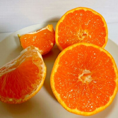 【ふるさと納税】【ゆら早生】宮田農園の温州みかん　4kg【1353531】 サムネイル3