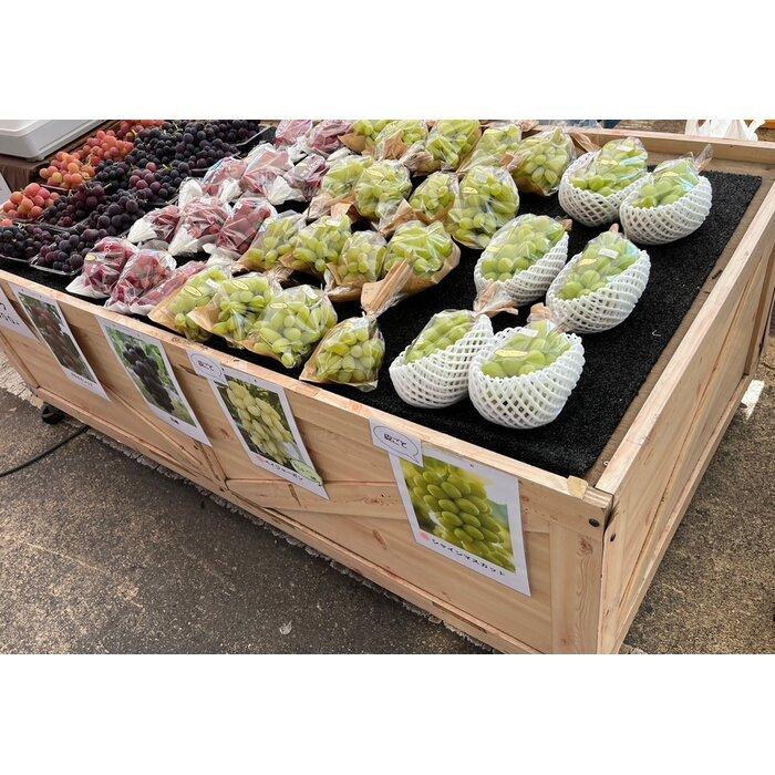 【ふるさと納税】【2026年度_先行予約】【ご家庭用】巨峰（種あり）約2kg〔2026年8月上旬より順次発送〕 | 愛知県 大府市 名産品 ぶどう 糖度高く 濃厚 人気 おすすめ 家庭用 先行予約 数量限定 期間限定 果物 フルーツ 冷蔵 楽天ふるさと納税 【8月上旬より順次発送】 サムネイル3