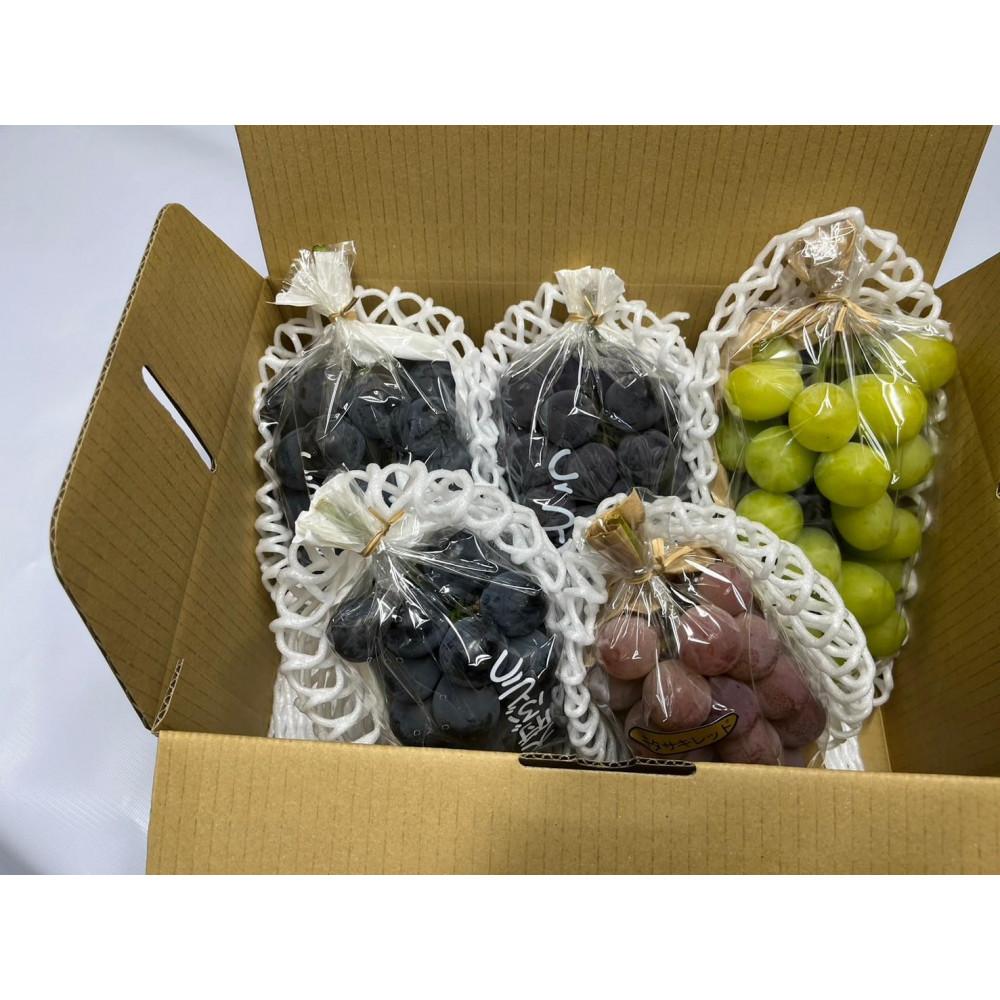 【ふるさと納税】【2026年度_先行予約】【ご家庭用】ぶどう食べ比べセット 約2kg〔2026年8月中旬より順次発送〕 | ぶどう フルーツ 果物 くだもの 食品 人気 おすすめ 送料無料 サムネイル2