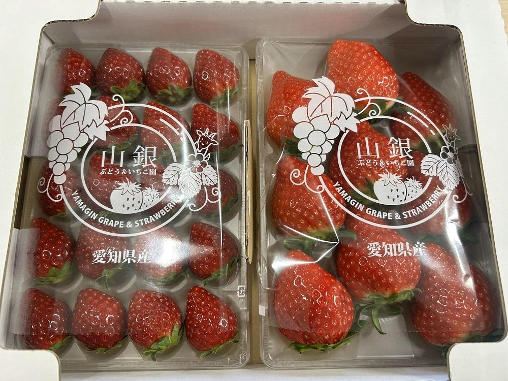 【ふるさと納税】【数量限定】完熟朝摘みいちご 2種お届け★2025年12月下旬～発送★ | 苺 先行 予約 果物 フルーツ くだもの サムネイル3