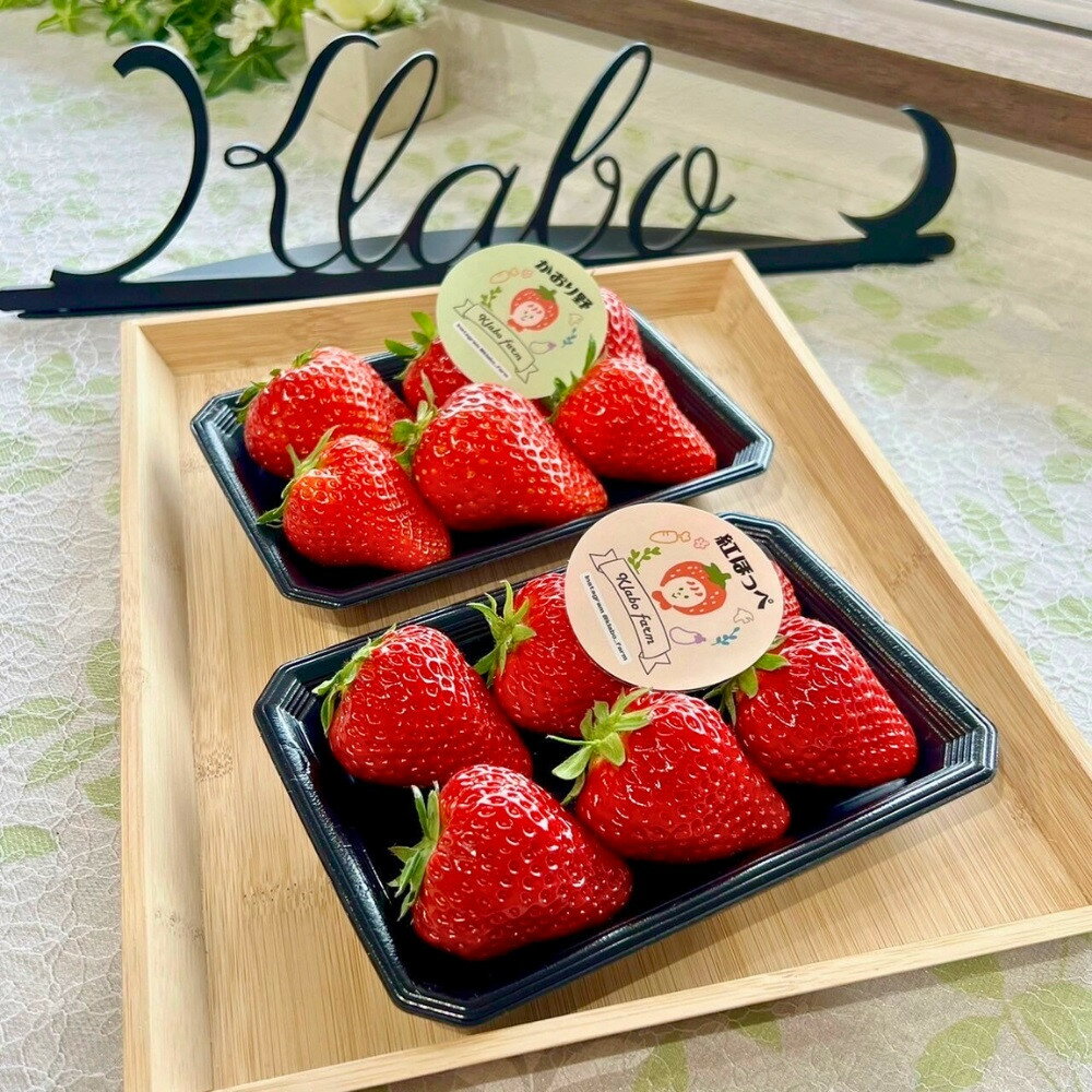 【ふるさと納税】【先行予約・数量限定】【贈答用・3L~4Lサイズ・大粒】かおり野いちご500g（朝採れ完熟 約250g×2P） | 果物 フルーツ いちご イチゴ 苺 朝採れ 大粒 食品 旬 季節限定 おすすめ 品種 産地直送 ギフト 愛知県 大府市 人気 送料無料 サムネイル2