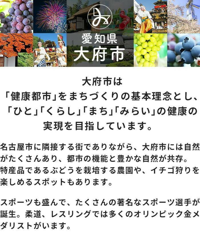 【ふるさと納税】 エアウィーヴ 01 シングル セミダブル ダブル クイーン キング | マットレス 高反発 厚さ6cm 高反発マットレス 洗えるマットレス マットレスパッド 洗える マットレストッパー ファイバー エアウィーブ サムネイル2