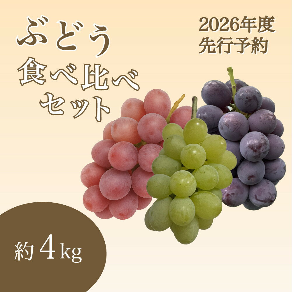 【2026年度_先行予約】【ご家庭用】ぶどう食べ比べセット 約4kg〔2026年8月中旬より順次発送〕 | ぶどう フルーツ 果物 くだもの 食品 人気 おすすめ 送料無料