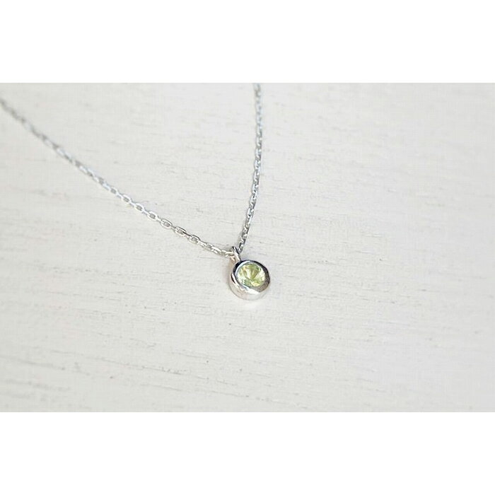 【ふるさと納税】【プレゼント包装付き】誕生石ペンダント（シルバー）チェーン40cm サムネイル2