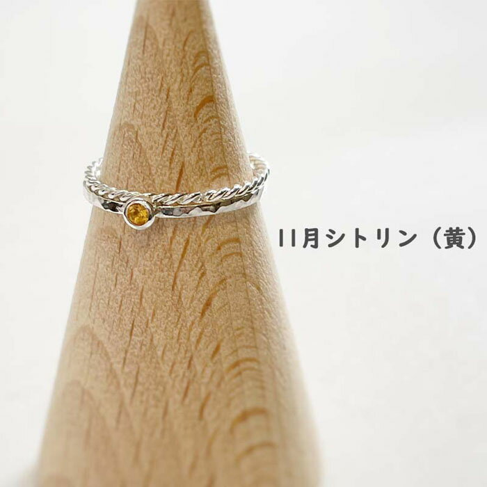 【ふるさと納税】【セットで楽しむ】誕生石リング＆ねじねじリング（シルバー） サムネイル3