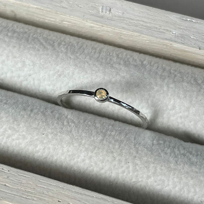 【ふるさと納税】【プレゼント包装付き】誕生石リング（シルバー） サムネイル3