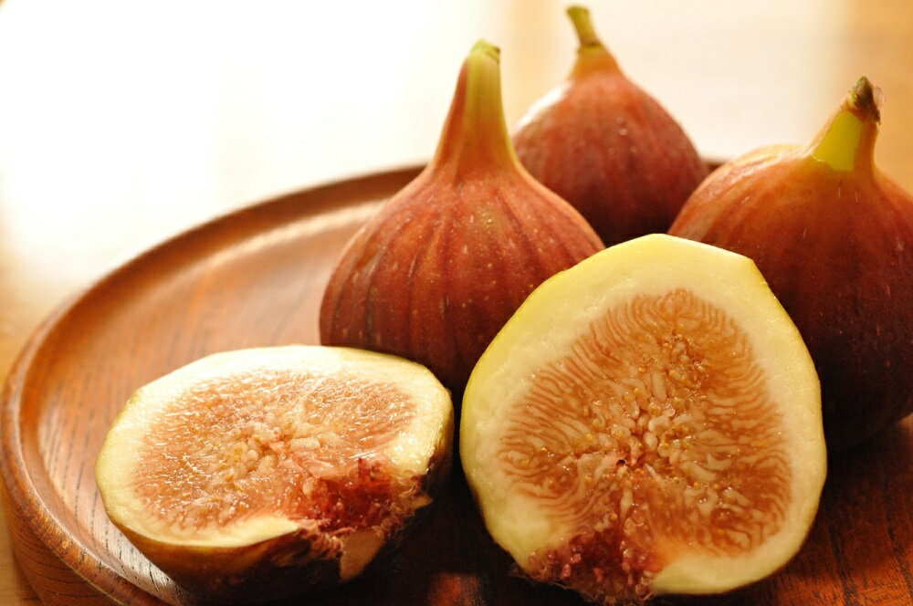 【ふるさと納税】【先行予約】もぎたて朝どり完熟いちじく　秀品 約1kg（9～12玉）／愛知県産　サマーレッド　いちじく　イチジク　無花果　果物　フルーツ　 | 果物 フルーツ いちじく 1kg 愛知 大府 送料無料 イチジク 無花果 完熟 高品質 甘い 新鮮 お中元 ギフト サムネイル2