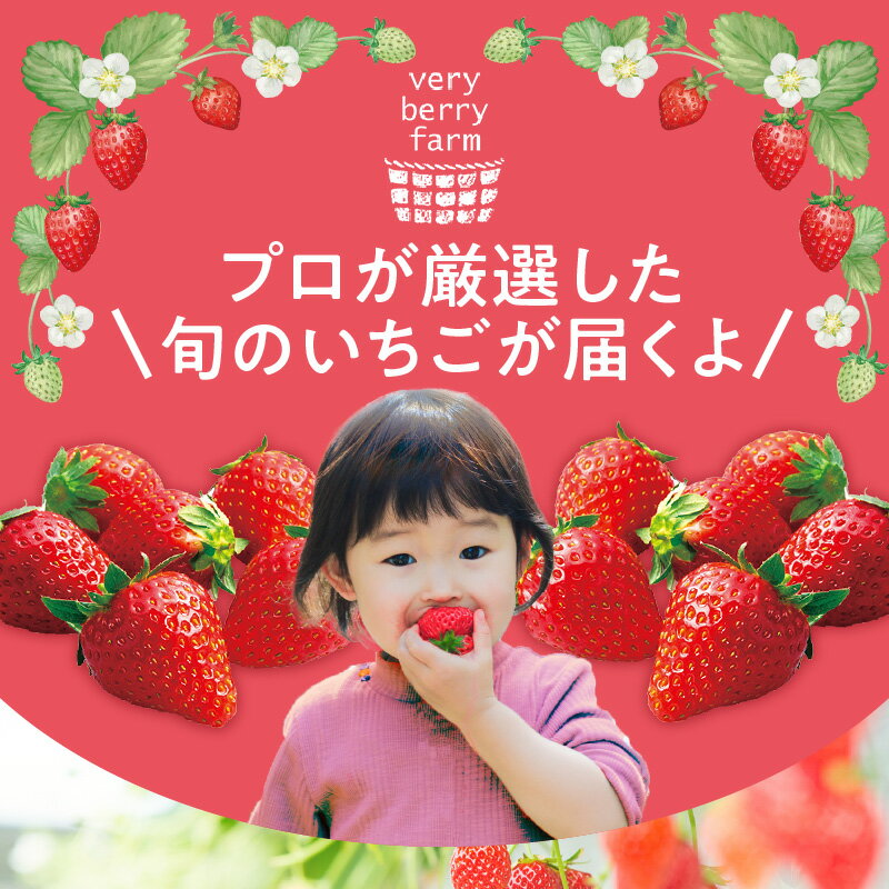 【ふるさと納税】《先行予約》いちご 2品種 食べ比べ セット【申込終了：2026年3月末】 ◆ 期間限定 ◆ 苺 フルーツ 完熟苺 紅ほっぺ 章姫 かおり野 おいCべりー 農園 あきひめ イチゴ 知多市 旬の果物 送料無料 サムネイル2