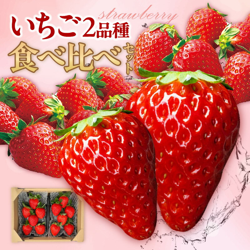 《先行予約》いちご 2品種 食べ比べ セット【申込終了：2026年3月末】 ◆ 期間限定 ◆ 苺 フルーツ 完熟苺 紅ほっぺ 章姫 かおり野 おいCべりー 農園 あきひめ イチゴ 知多市 旬の果物 送料無料