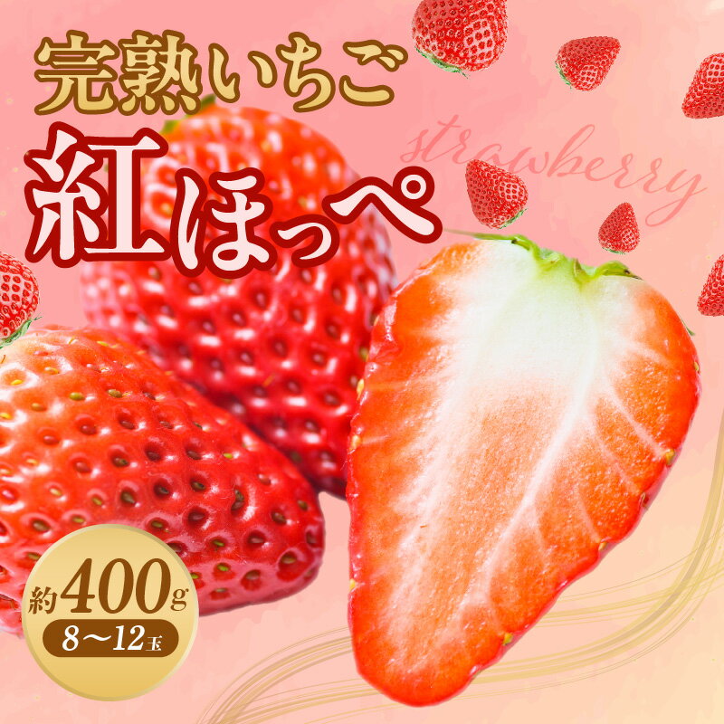 【ふるさと納税】苺香の完熟いちご「紅ほっぺ」 サムネイル2