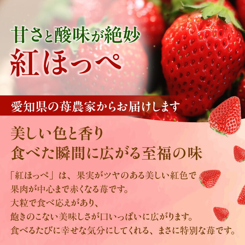 【ふるさと納税】苺香の完熟いちご「紅ほっぺ」 サムネイル3