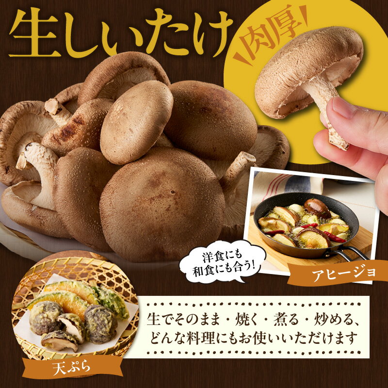 【ふるさと納税】空（テン）しいたけ【計420g】詰め合わせ セット 乾燥きくらげ ・ 乾燥しいたけ ・ 生しいたけ 肉厚 きのこ 生 乾燥 セット 秋 旬 乾物 国産 愛知県産 お取り寄せ グルメ 送料無料 - 画像2