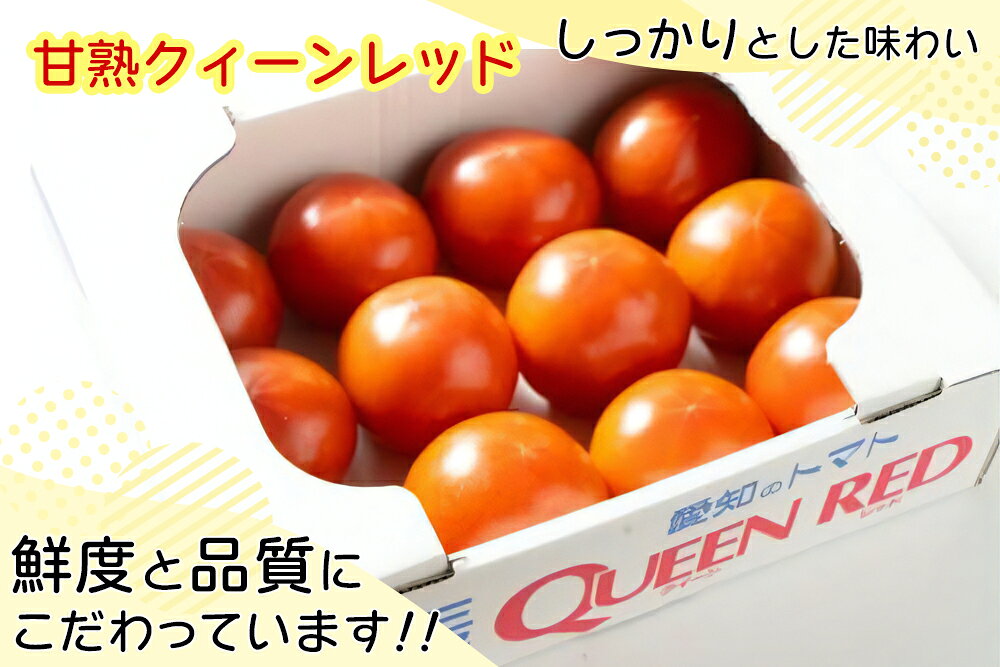 【ふるさと納税】[予約受付] 水耕栽培 トマト (大玉)｜甘い 新鮮 完熟 とまと 大玉 直送 野菜 リコピン サラダ イタリアン [0621] - 画像2