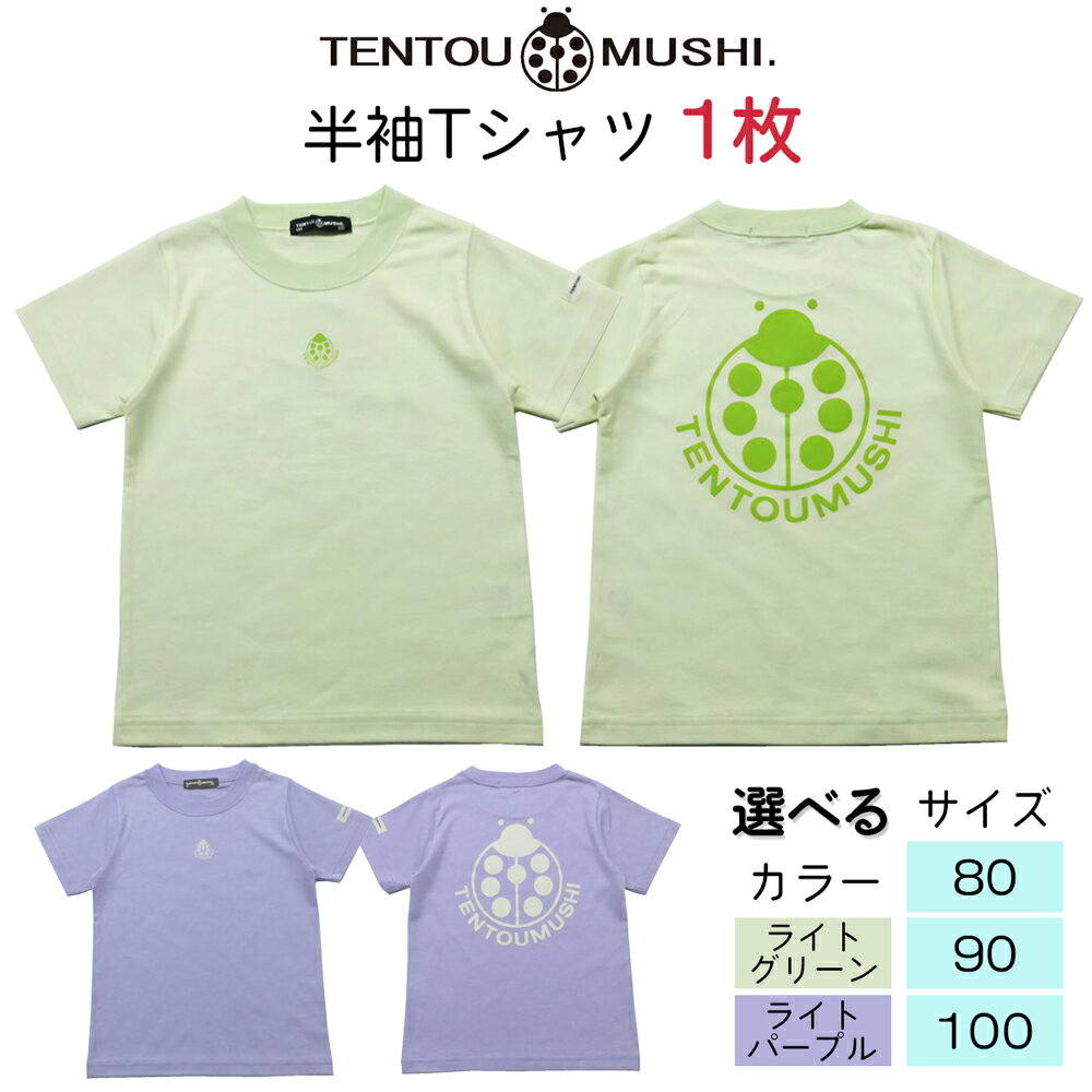 子ども用 半袖Tシャツ TENTOUMUSHI てんとう虫PT｜子供 服 Tシャツ 綿 国産 日本製 赤ちゃん ベビー お祝い [0795-0801]