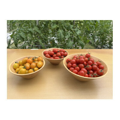 新ミニトマト甘っこミックスセット【1483676】