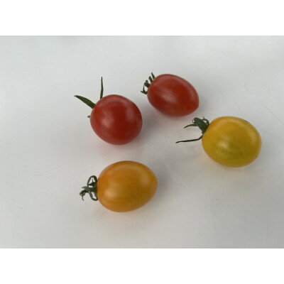 【ふるさと納税】新ミニトマト甘っこミックスセット【1483676】 - 画像2