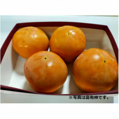 秋の味覚　とよあけしの富有柿　7.5kg(柿28～32個前後)【1533484】