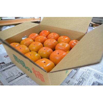 【ふるさと納税】秋の味覚　とよあけしの富有柿　7.5kg(柿28～32個前後)【1533484】 サムネイル2