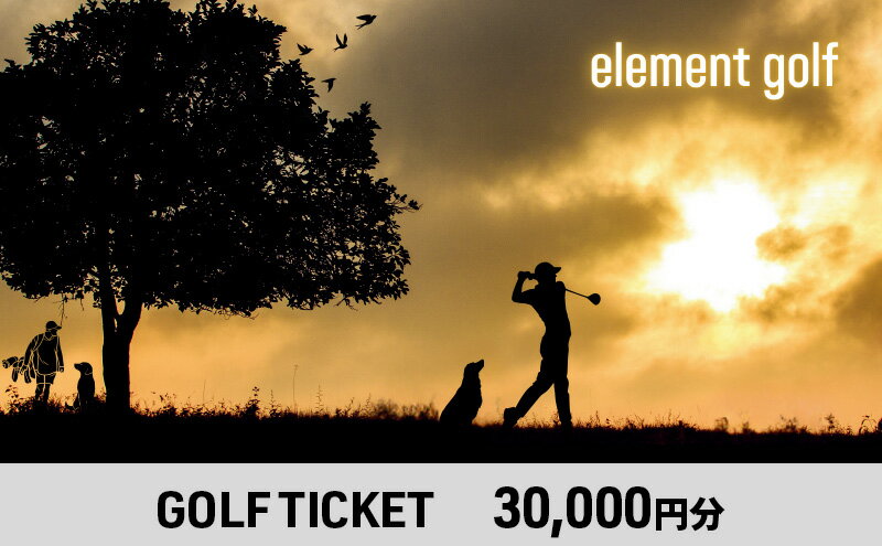 【ふるさと納税】【30,000円分】 elementgolf ゴルフチケット (ゴルフクラブ作成、修理・調整、フィッティング) エレメントゴルフ × 名古屋外国語大学コラボデザインチケット ゴルフ ゴルフクラブ 愛知 日進市 サムネイル2