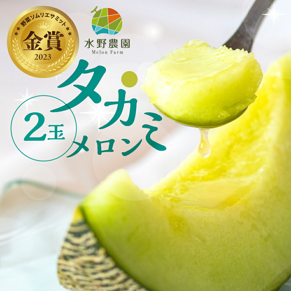 先行予約 2026年お届け 水野農園産タカミメロン　2玉 メロン めろん 先行受付 フルーツ 果物 お中元 お取り寄せ ギフト 渥美半島 田原市 産地直送 送料無料 農家直送 緑肉 産直 ネット系メロン くだもの デザート メロン 糖度 メロン 青肉メロン 9000円