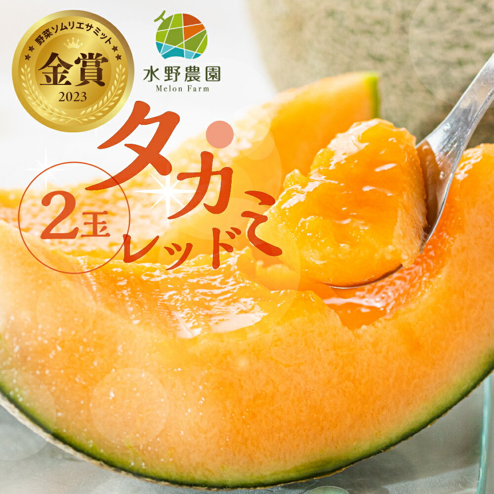 先行予約 2026年お届け 水野農園産タカミレッド　2玉 メロン めろん 先行受付 フルーツ 果物 お中元 お取り寄せ ギフト 渥美半島 田原市 産地直送 送料無料 農家直送 産直 ネット系メロン くだもの デザート メロン 糖度 メロン 赤肉メロン 9000円