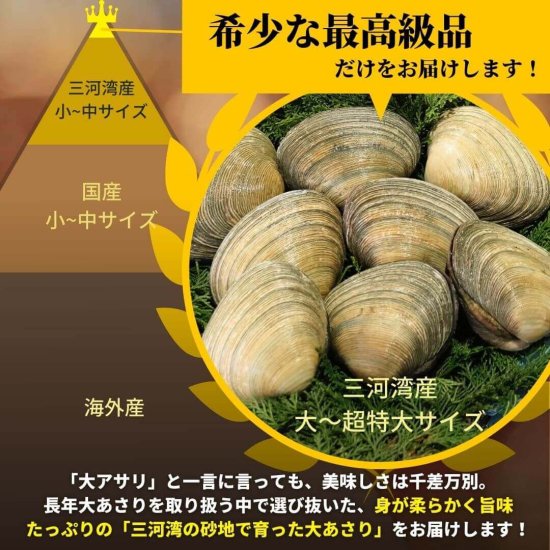 【ふるさと納税】三河湾産 天然 大アサリ 約1kg CAS冷凍 特製だし醤油付き あさり 国産 アサリ 愛知県 田原市 大あさり 砂抜き 海鮮 魚介類 魚介 貝 冷凍 人気 サムネイル2