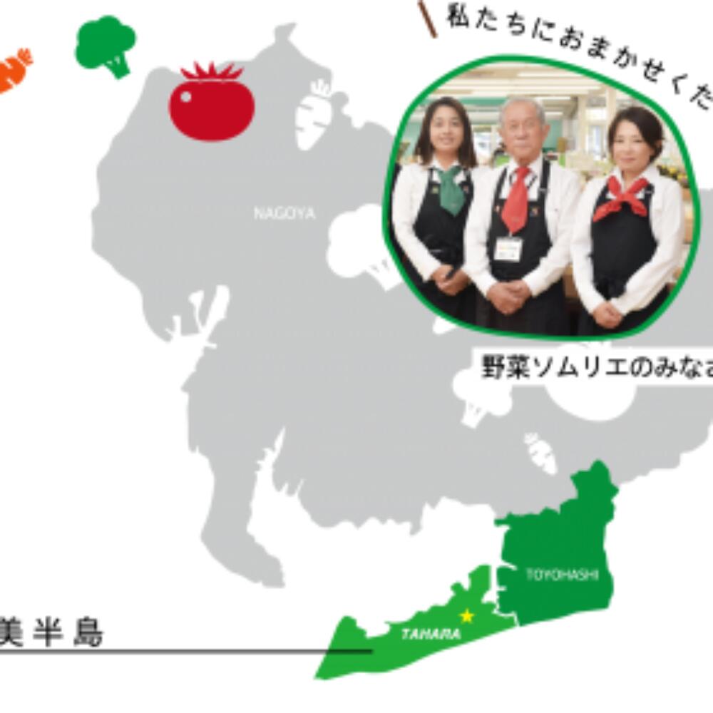 【ふるさと納税】先行予約 道の駅の野菜ソムリエ厳選 イエローキング 5玉 箱詰め めっくんはうす メロン フルーツ 果物 お取り寄せ 渥美半島 産地直送 田原市 送料無料 めっくんはうす サムネイル2