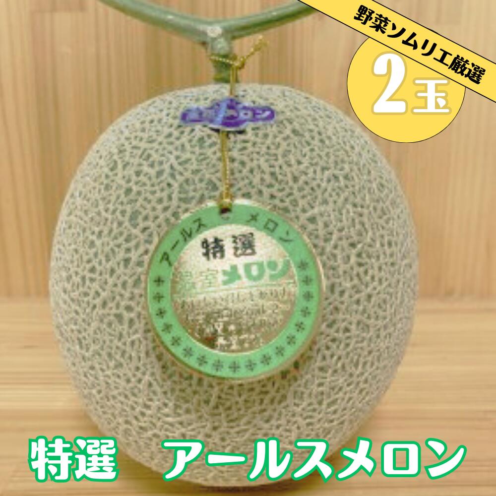先行予約 道の駅の野菜ソムリエ厳選 アールスメロン 2L× 2玉 箱詰め メロン フルーツ 果物 お取り寄せ 渥美半島 産地直送 田原市 送料無料　めっくんはうす メロン 糖度 メロン 青肉